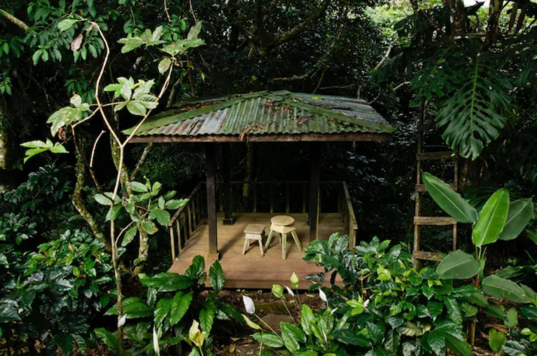 Апартаменты Coffee Garden Ranch Costa Rica Concepcion  Экстерьер фото
