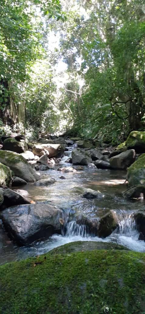 Апартаменты Coffee Garden Ranch Costa Rica Concepcion  Экстерьер фото