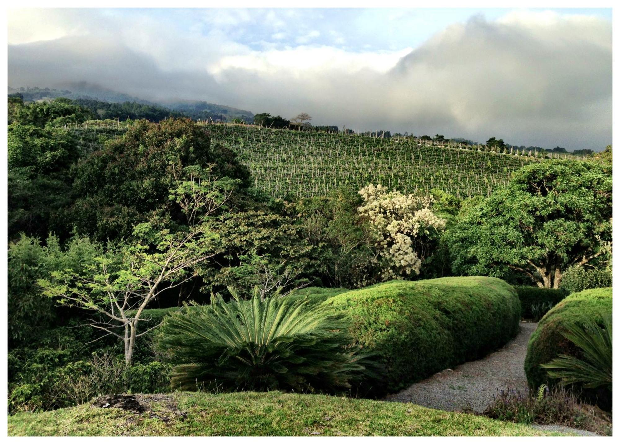 Апартаменты Coffee Garden Ranch Costa Rica Concepcion  Экстерьер фото