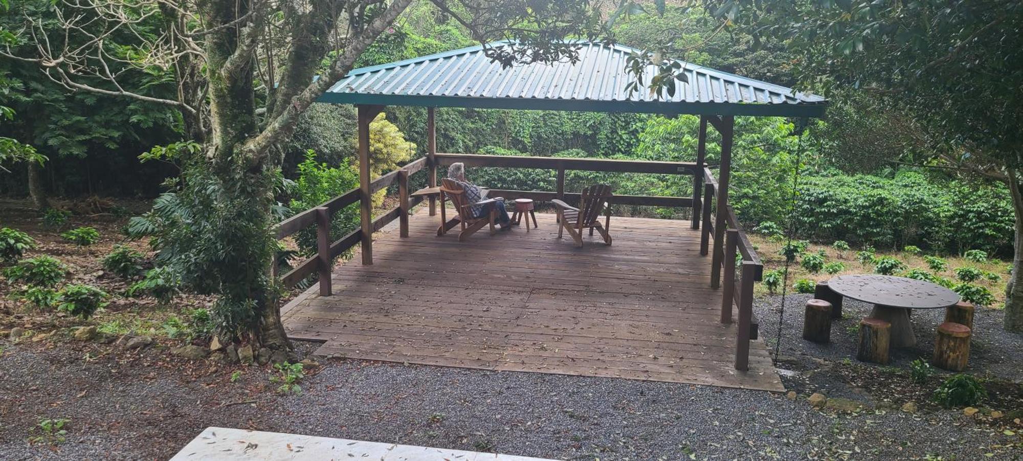 Апартаменты Coffee Garden Ranch Costa Rica Concepcion  Экстерьер фото
